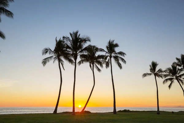 Gyönyörű Jelenet Hawaii Naplementében — Stock Fotó