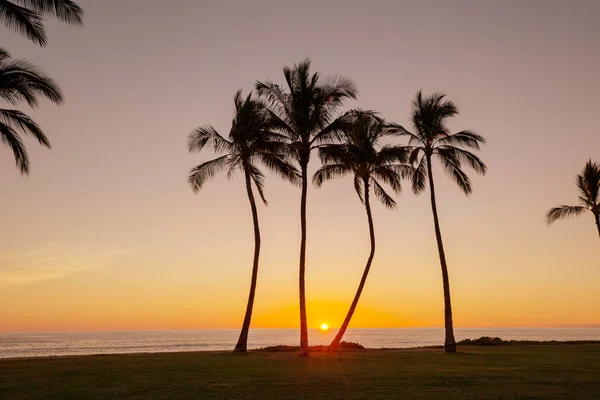 Bela Cena Pôr Sol Havaiano — Fotografia de Stock