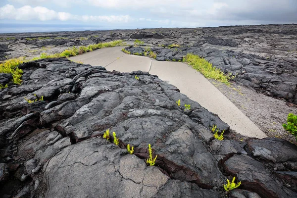 Fluxo Lava Big Island Havaí — Fotografia de Stock