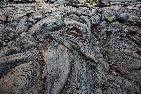 하와이의 용암의 — 스톡 사진