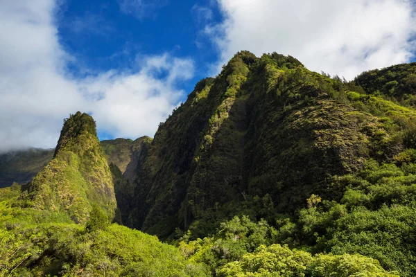 Gyönyörű Trópusi Tájak Maui Szigeten Hawaii — Stock Fotó