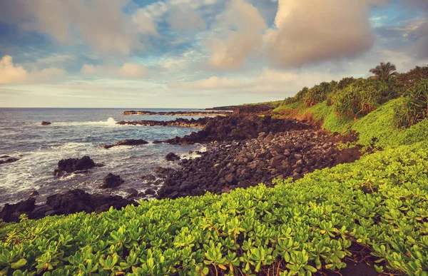 Piękne Tropikalne Krajobrazy Wyspie Maui Hawaje — Zdjęcie stockowe