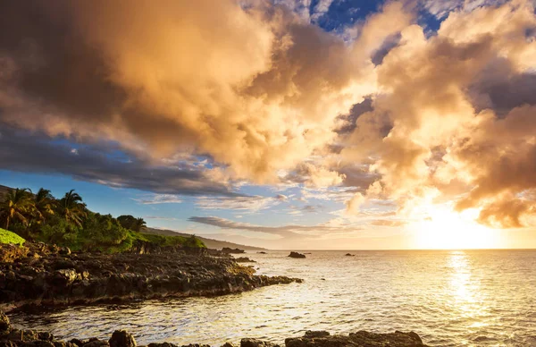 Beautiful Tropical Landscapes Maui Island Hawaii — Stock Photo, Image