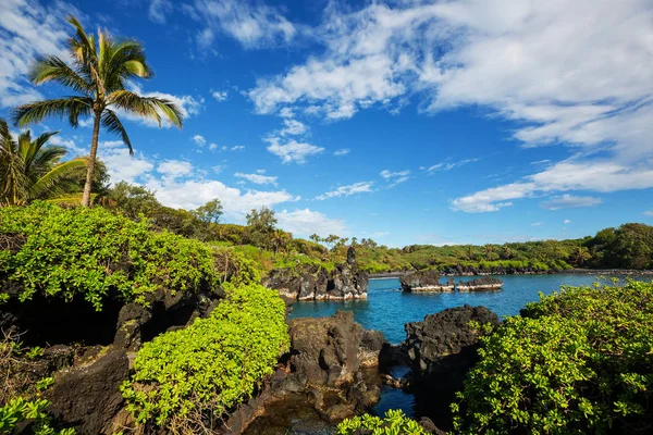 Όμορφα Τροπικά Τοπία Στο Νησί Μάουι Χαβάη — Φωτογραφία Αρχείου