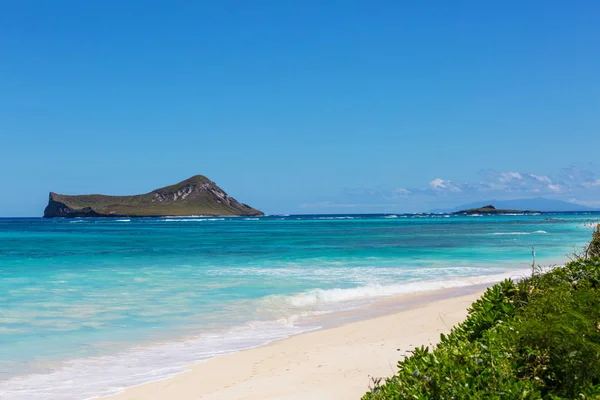 Όμορφα Τοπία Στο Νησί Oahu Χαβάη — Φωτογραφία Αρχείου