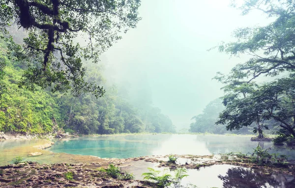 Чудові Природні Басейни Семук Чампей Ланкін Гватемала Центральна Америка — стокове фото