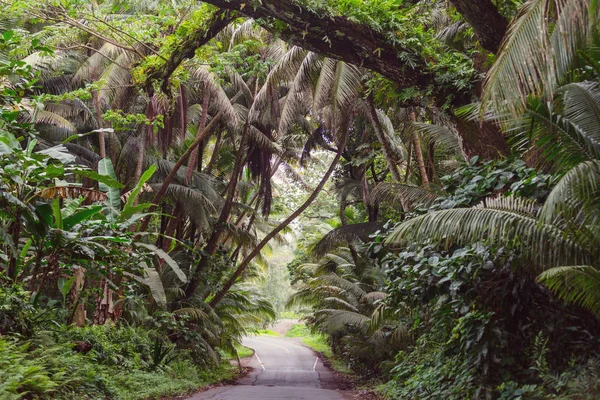 ハワイ島のリモート ジャングルで未舗装の道路 — ストック写真