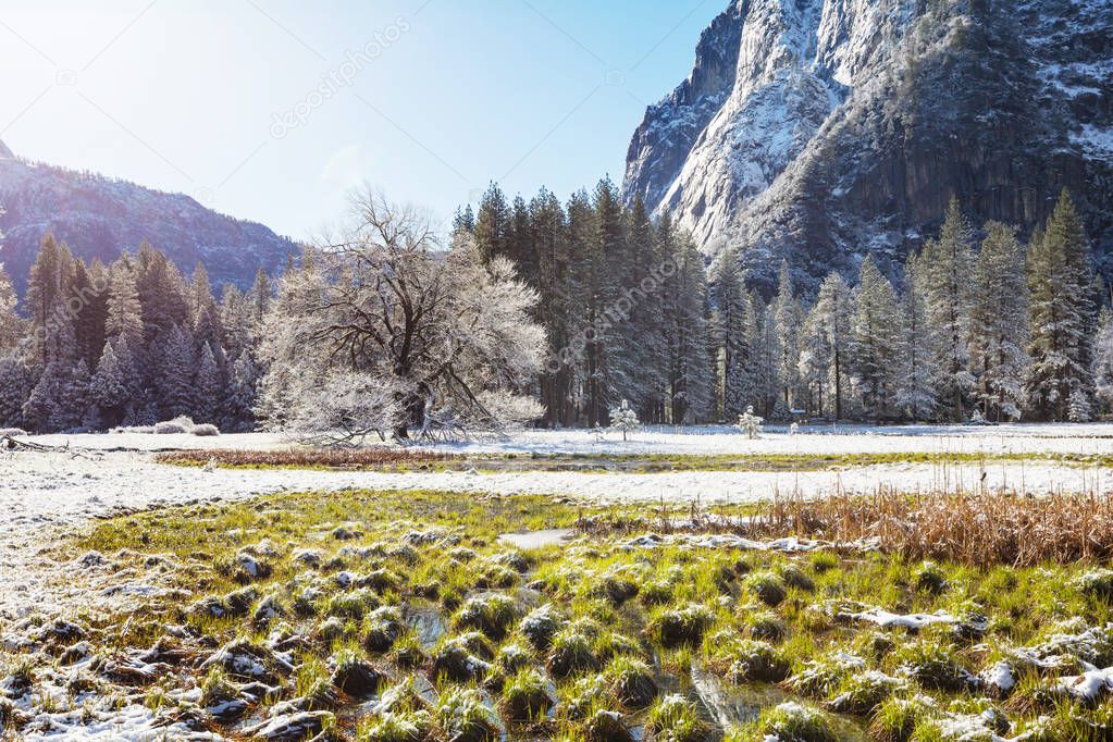 Beautiful early spring landscapes in Yosemite National Park, Yosemite, USA