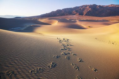 kum tepeleri Ölüm Vadisi Milli Parkı, Kaliforniya, ABD