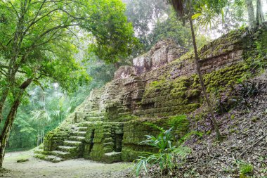 Tikal Ulusal Parkı, Guatemala, Orta Amerika 'daki ünlü antik Maya tapınakları