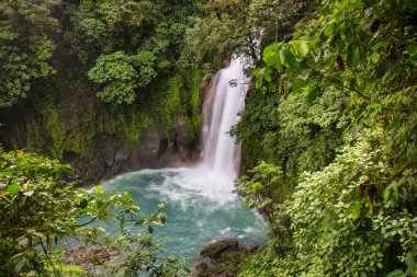 Kosta Rika yağmur ormanlarındaki görkemli şelale. Tropikal yürüyüş.