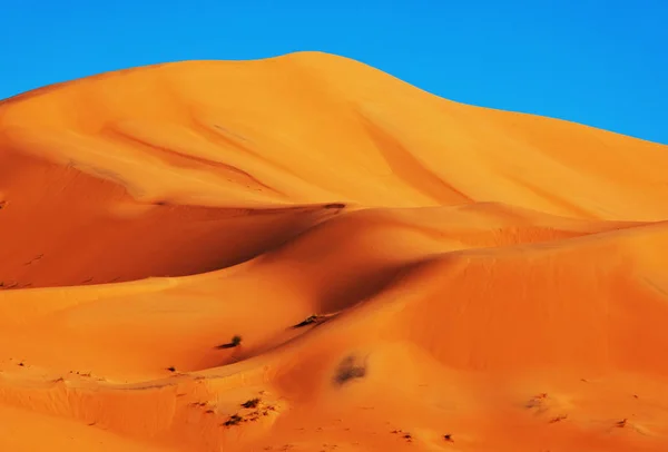 Natursköna Sanddyner Öknen — Stockfoto