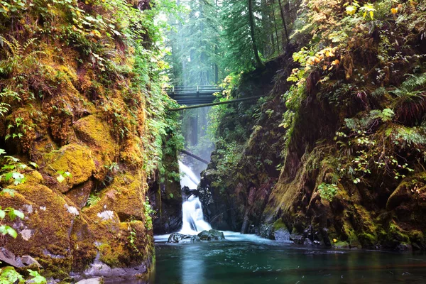 Sol Duc Wasserfall Naturlandschaft — Stockfoto