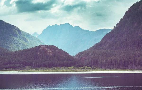 Isola Vancouver Canada Bellissimo Paesaggio Naturale — Foto Stock