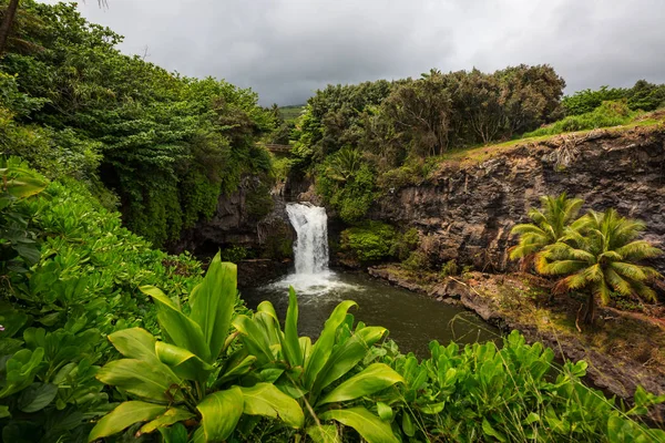 Cachoeira Tropical Bonita Havaí — Fotografia de Stock