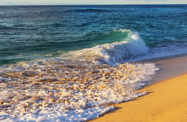 Blå Våg Stranden Suddig Bakgrund Och Solljus Fläckar Lugn Naturlig — Stockfoto