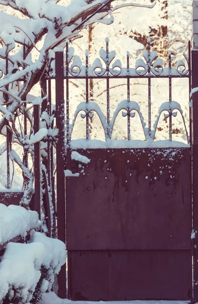 Puerta Jardín Temporada Invierno — Foto de Stock