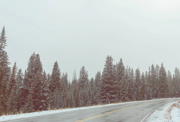 Zimní Cesta Městě Krásná Příroda Krajina — Stock fotografie