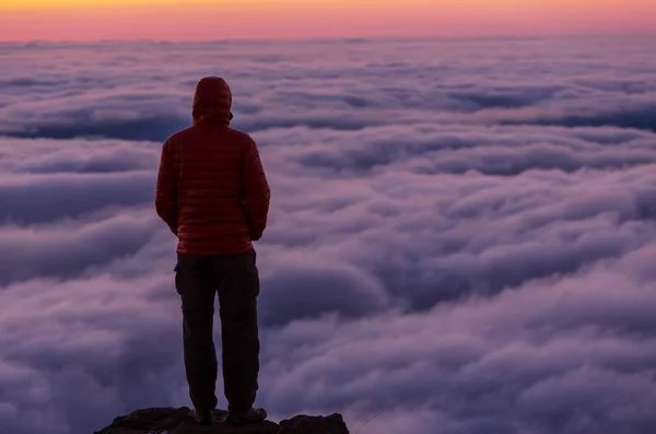 Homem Desfrutando Bela Vista Acima Das Nuvens Nas Montanhas — Fotografia de Stock