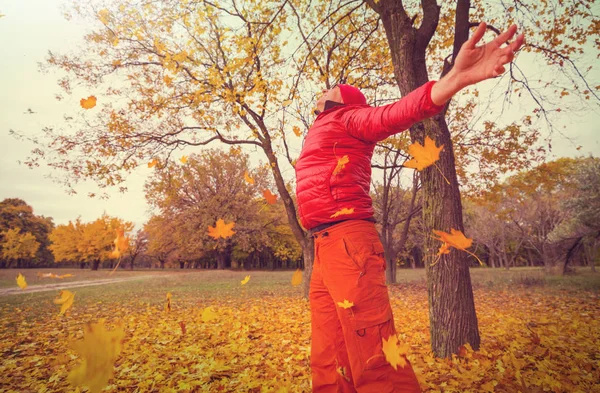 Herbstszene Gelbtönen — Stockfoto