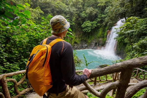 Прогулюючись Зелених Тропічних Джунглях Коста Рика Центральна Америка — стокове фото