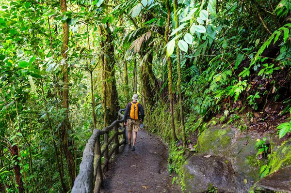 Senderismo Selva Tropical Verde Costa Rica América Central — Foto de Stock