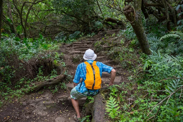 하와이 미국에에서가 등산객 — 스톡 사진
