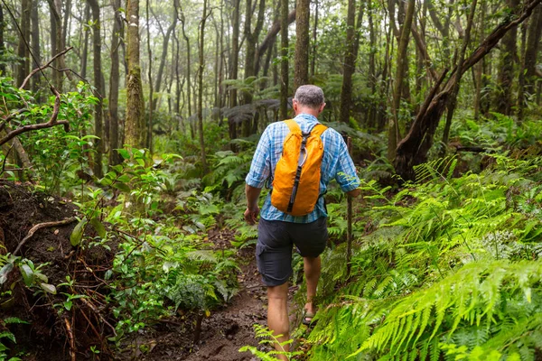 Caminhante Trilha Selva Verde Havaí Eua — Fotografia de Stock