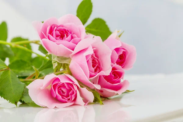 Růžové Růže Krásné Přírodní Pozadí — Stock fotografie