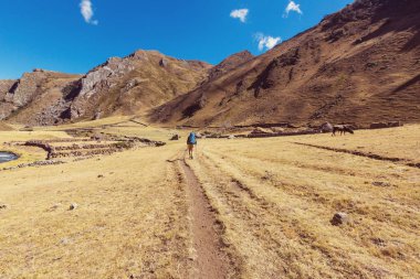 Cordillera dağlarında yürüyüş sahnesi, Peru