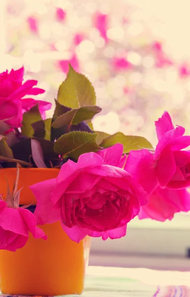 Rosas Rosadas Hermoso Fondo Natural — Foto de Stock