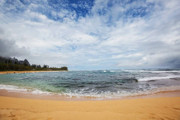 Increíble Playa Hawaiana Naturaleza Vista Panorámica —  Fotos de Stock