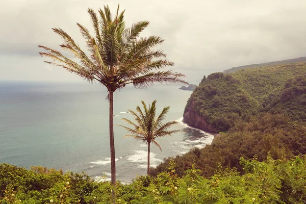 Vue Pittoresque Île Hawaï — Photo