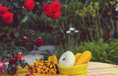 Yaz hasat bahçesinde yakın çekim 