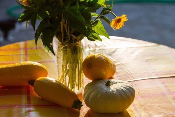 Sommaren Skörden Trädgården Närbild — Stockfoto