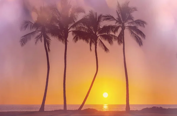 Erstaunliche Hawaiianische Strand Schöne Naturlandschaft — Stockfoto