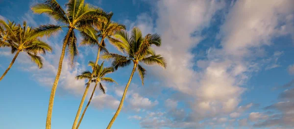 ハワイの素晴らしいビーチの美しい自然の風景 — ストック写真