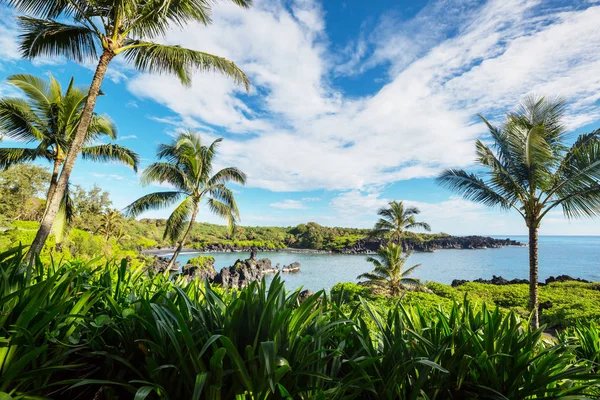 Hawaii, Maui adasındaki güzel tropikal manzaralar