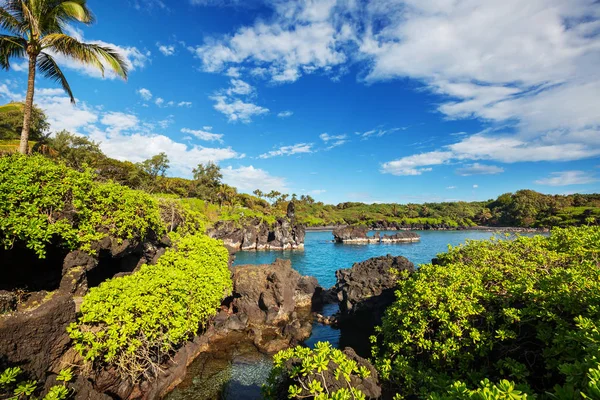 Krásné Tropické Krajiny Ostrově Maui Havaj — Stock fotografie