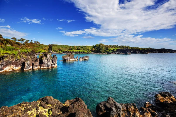 Vackra Tropiska Landskap Maui Hawaii — Stockfoto