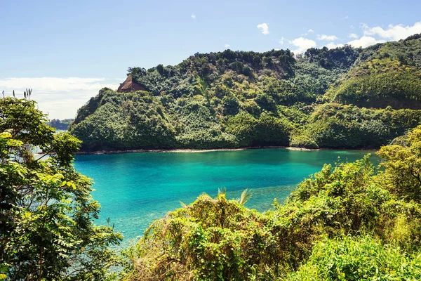 Beaux Paysages Tropicaux Sur Île Maui Hawaï — Photo