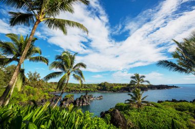 Hawaii, Maui adasındaki güzel tropikal manzaralar