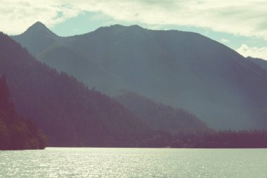 Vancouver Adası. Kanada doğa manzara 