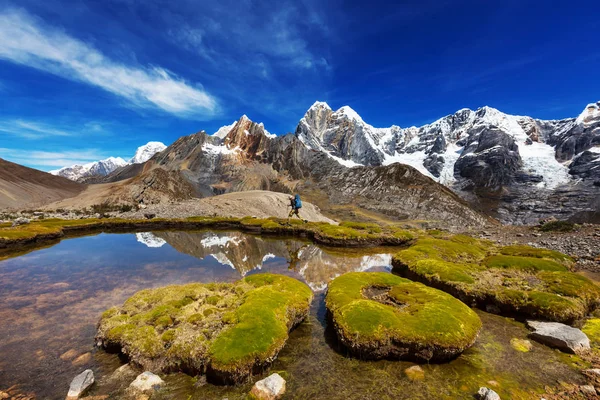 페루의 코르디예라 산맥에서 있었던 하이킹 — 스톡 사진