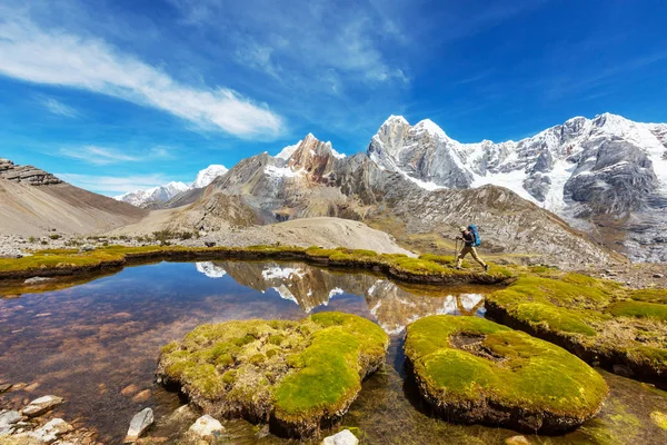 Scène Randonnée Cordillère Pérou — Photo