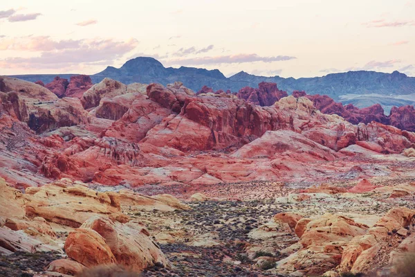 Όμορφα Τοπία Της Αμερικανικής Ερήμου — Φωτογραφία Αρχείου