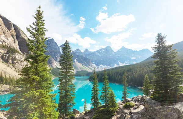 Moraine Gölü 'nün turkuaz suları. Kanada' nın Banff Ulusal Parkı 'nda karla kaplı tepeleri var.