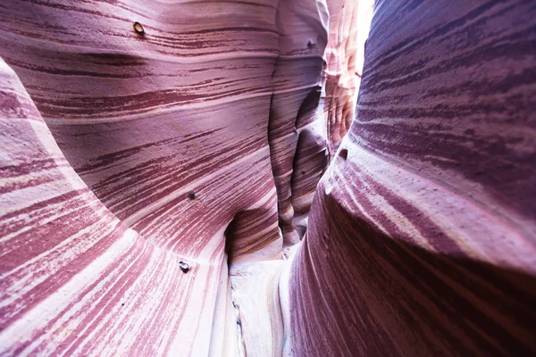 Slot Kanyon Grand Staircase Escalante Nemzeti Park Utah Usa Szokatlan — Stock Fotó