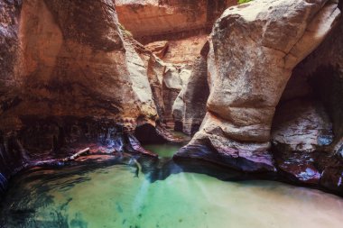 Narrows yuvası Kanyon, Zion National Park, Utah, Amerika