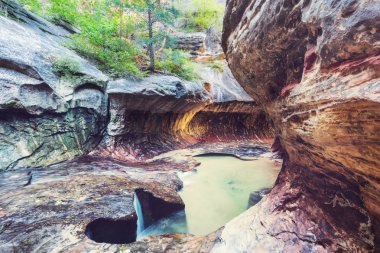 Narrows yuvası Kanyon, Zion National Park, Utah, Amerika
